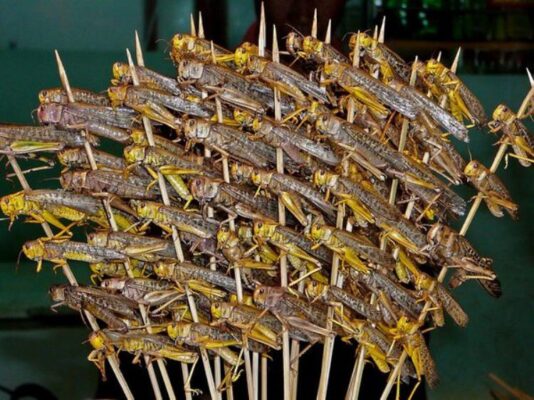 Ricette per gustare al meglio le cavallette