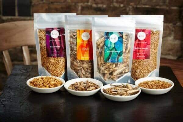 Dove acquistare gli insetti commestibili