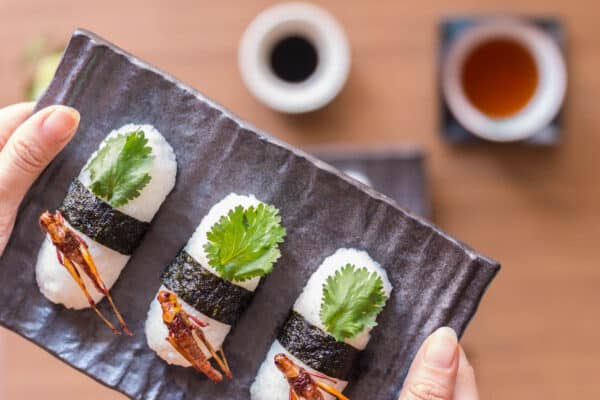 Il primo Sushi Bar dove mangiare insetti in apertura a Roma