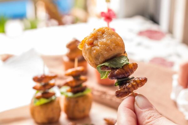 Insetti Antipasto Dolce 5 migliori piatti con insetti per antipasti