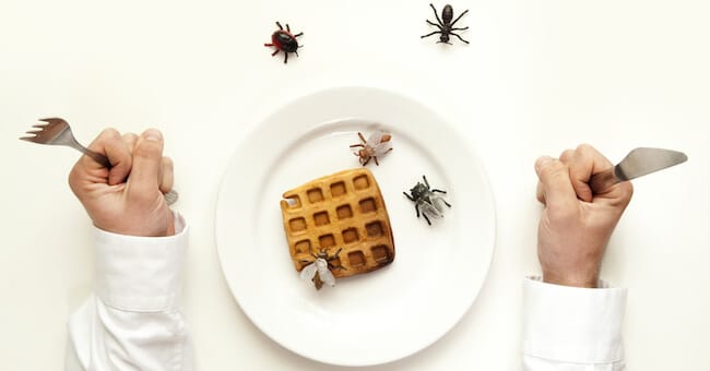 Come prevenire Infarti mangiando Insetti Commestibili