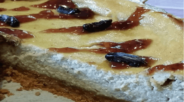 Torta Cheesecake con farina di Grilli Dolci con insetti commestibili