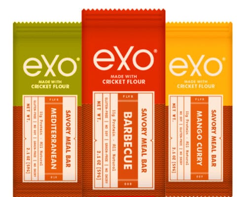 Barrette Proteiche a base di Grilli commestibili tutto quello che occorre sapere