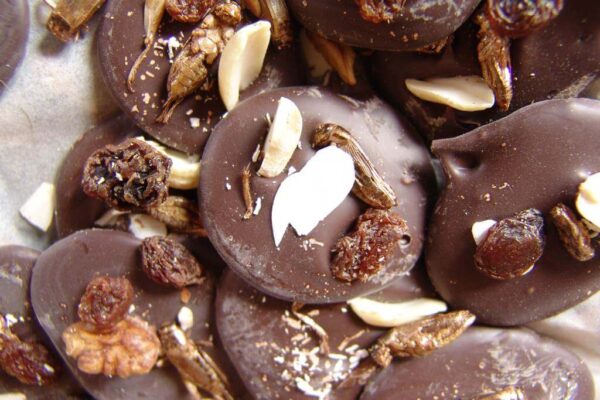 I migliori piatti a base di insetti commestibili al cioccolato e al marzapane