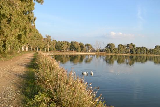 LAGO DI FOGLIANO GUIDA turismo