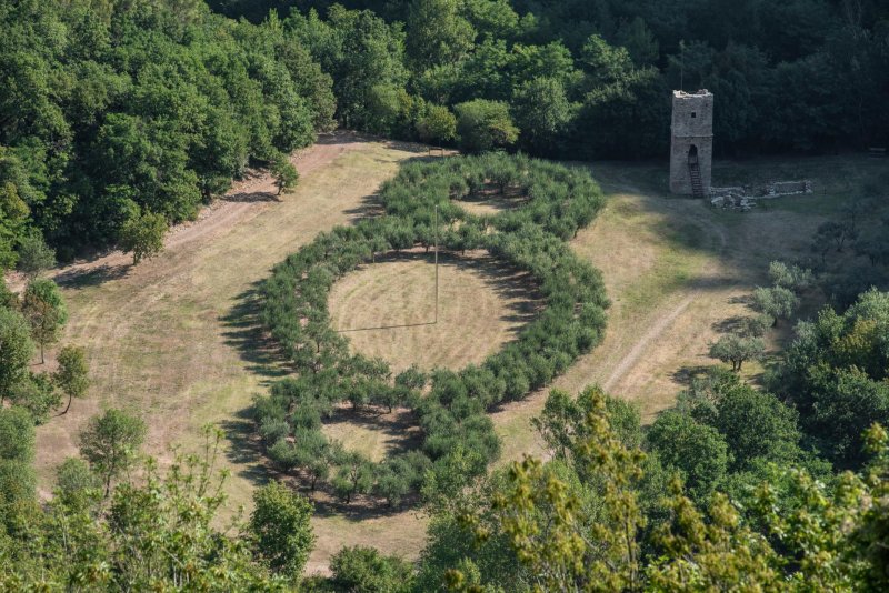 Bosco di San Francesco guida