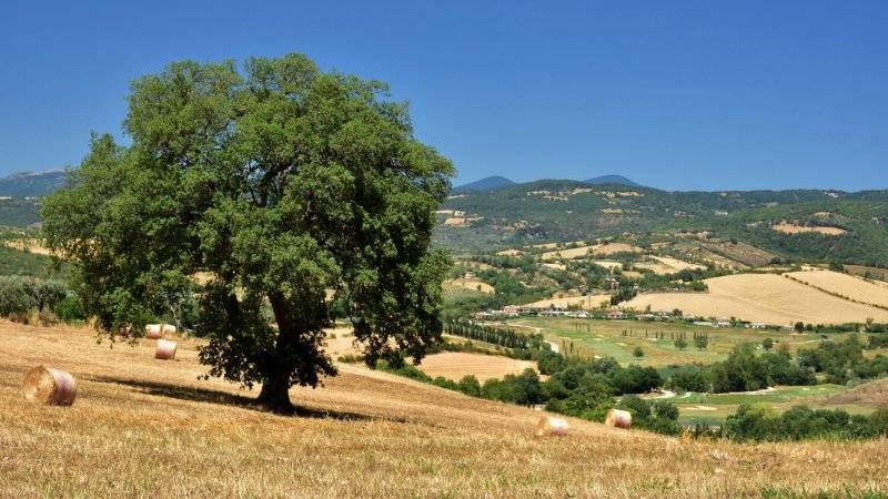 maremma cosa vedere guida viaggio