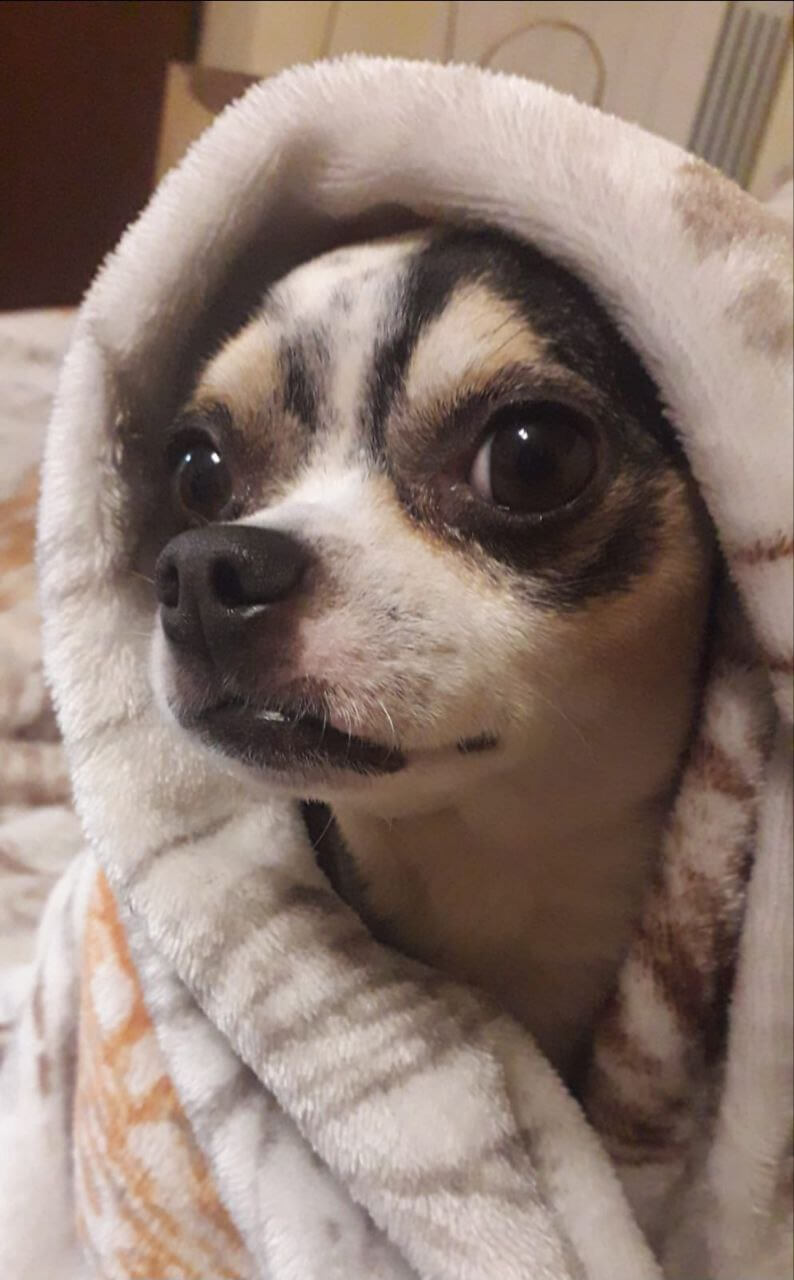 Zeus ultimi scatti 11