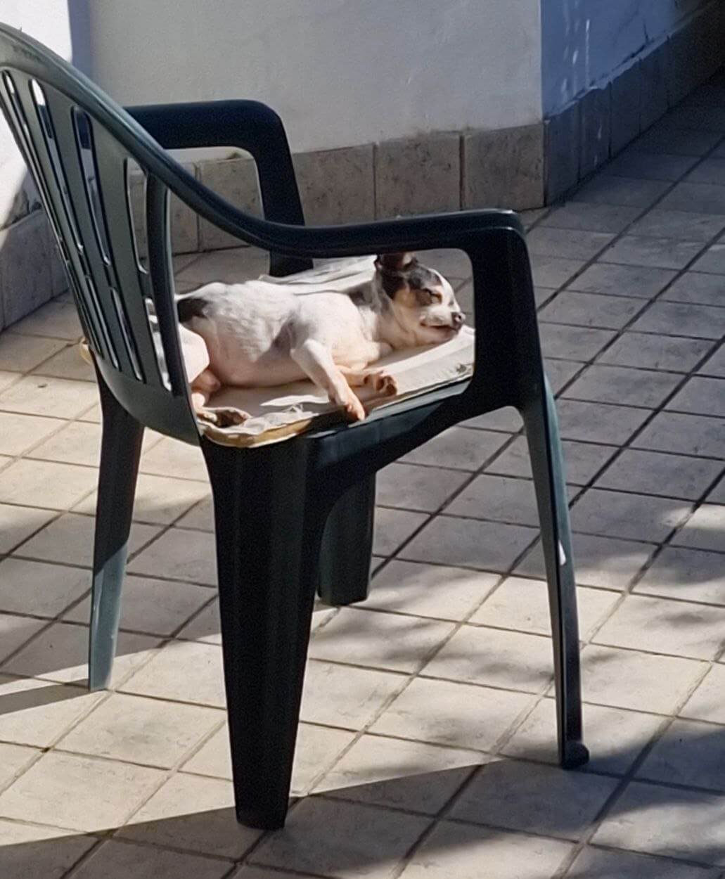 Zeus ultimi scatti 18