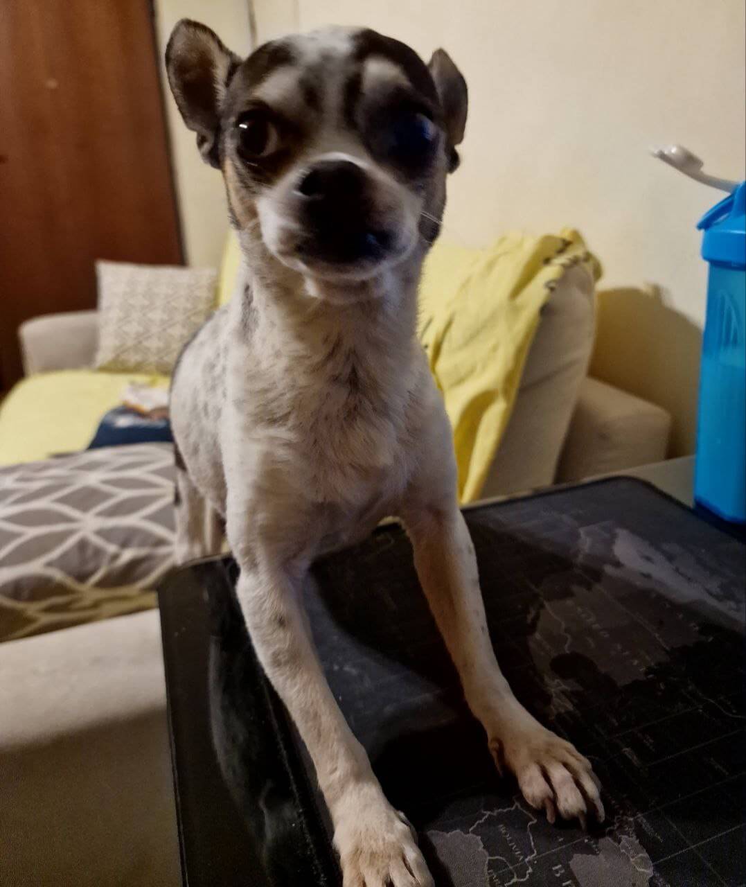 Zeus ultimi scatti 19