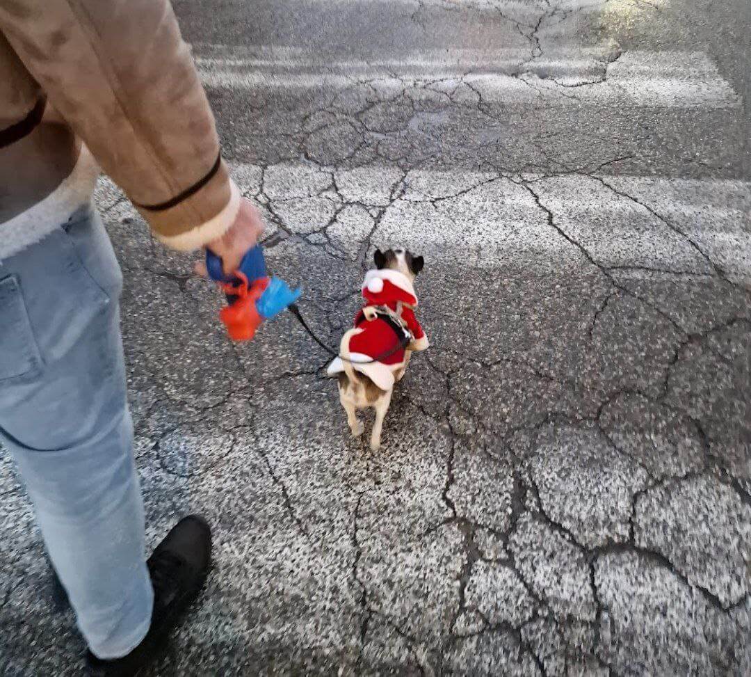 Zeus ultimi scatti 21