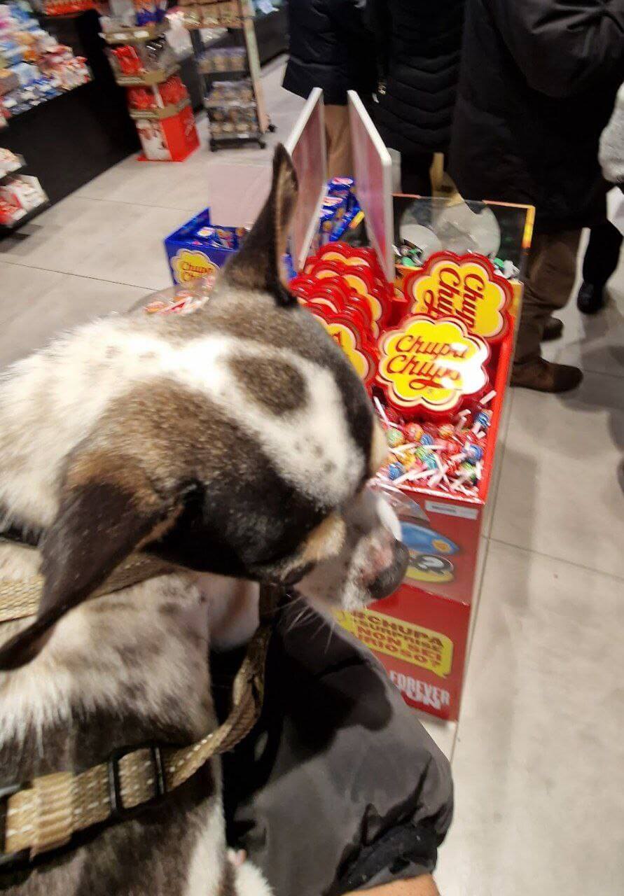 Zeus ultimi scatti 5