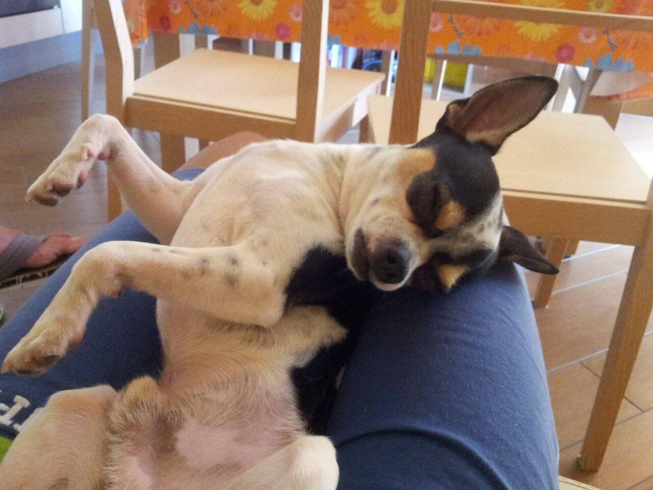 Zeus ultimi scatti 7