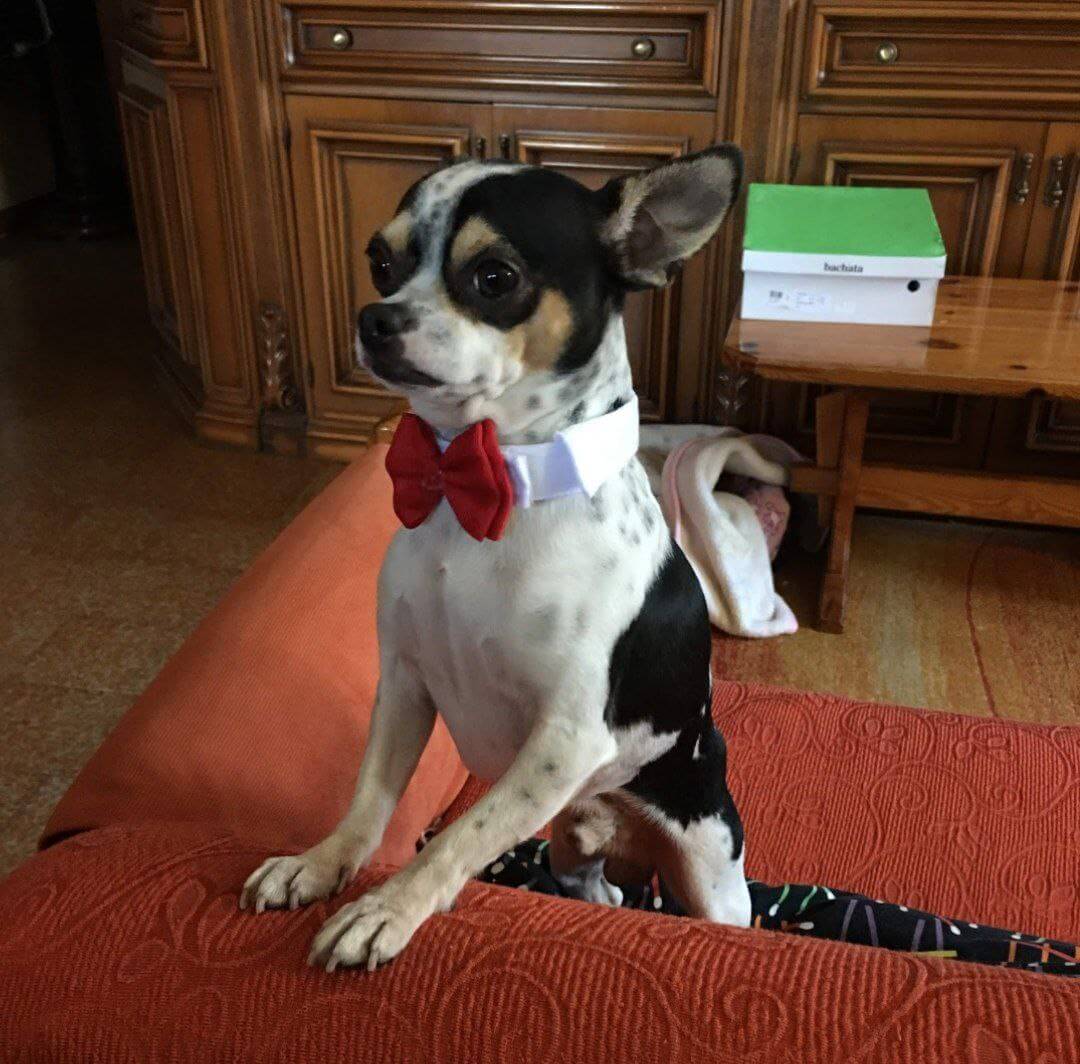 altre foto con zeus 3