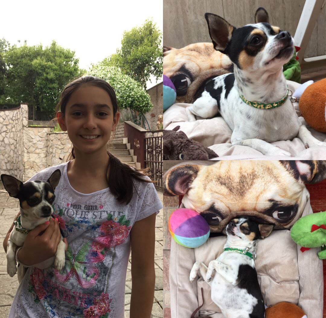 foto con zeus piccolo