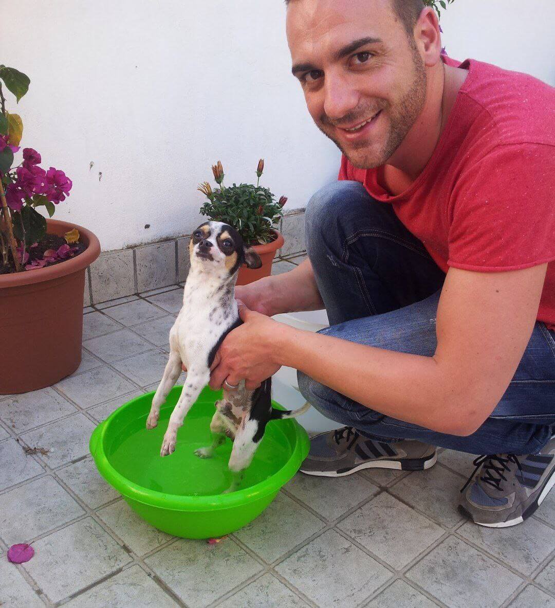 foto del cane Zeus 24