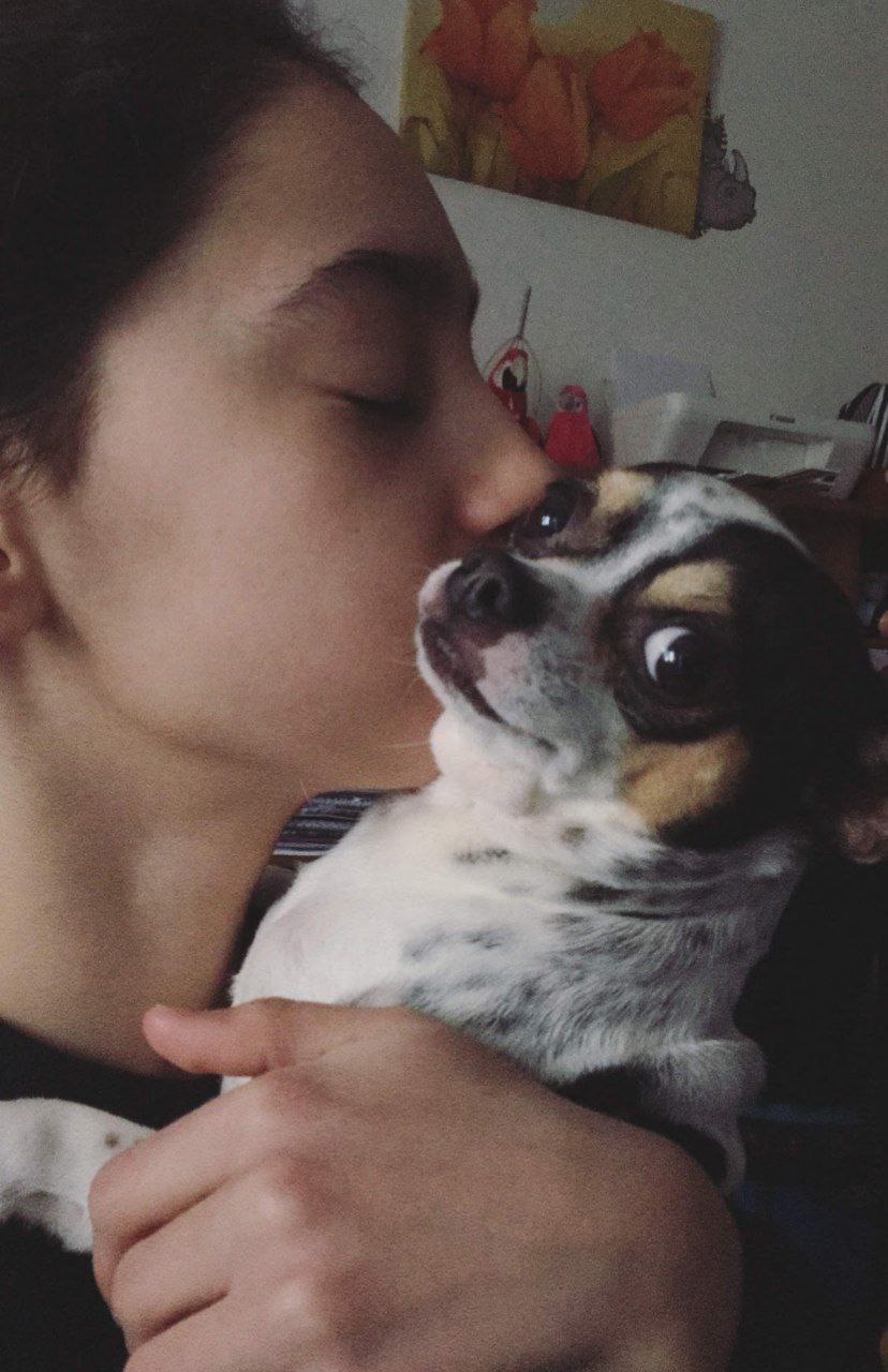 foto del cane Zeus 3