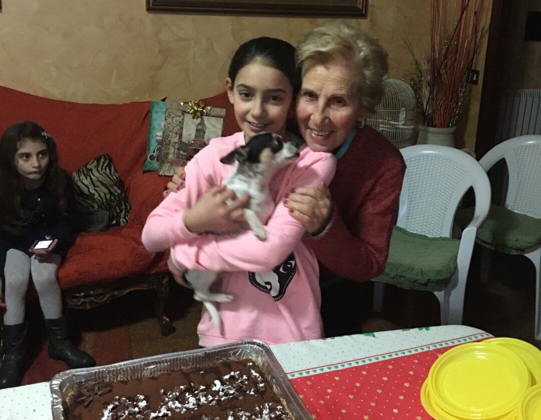 foto del cane Zeus 37