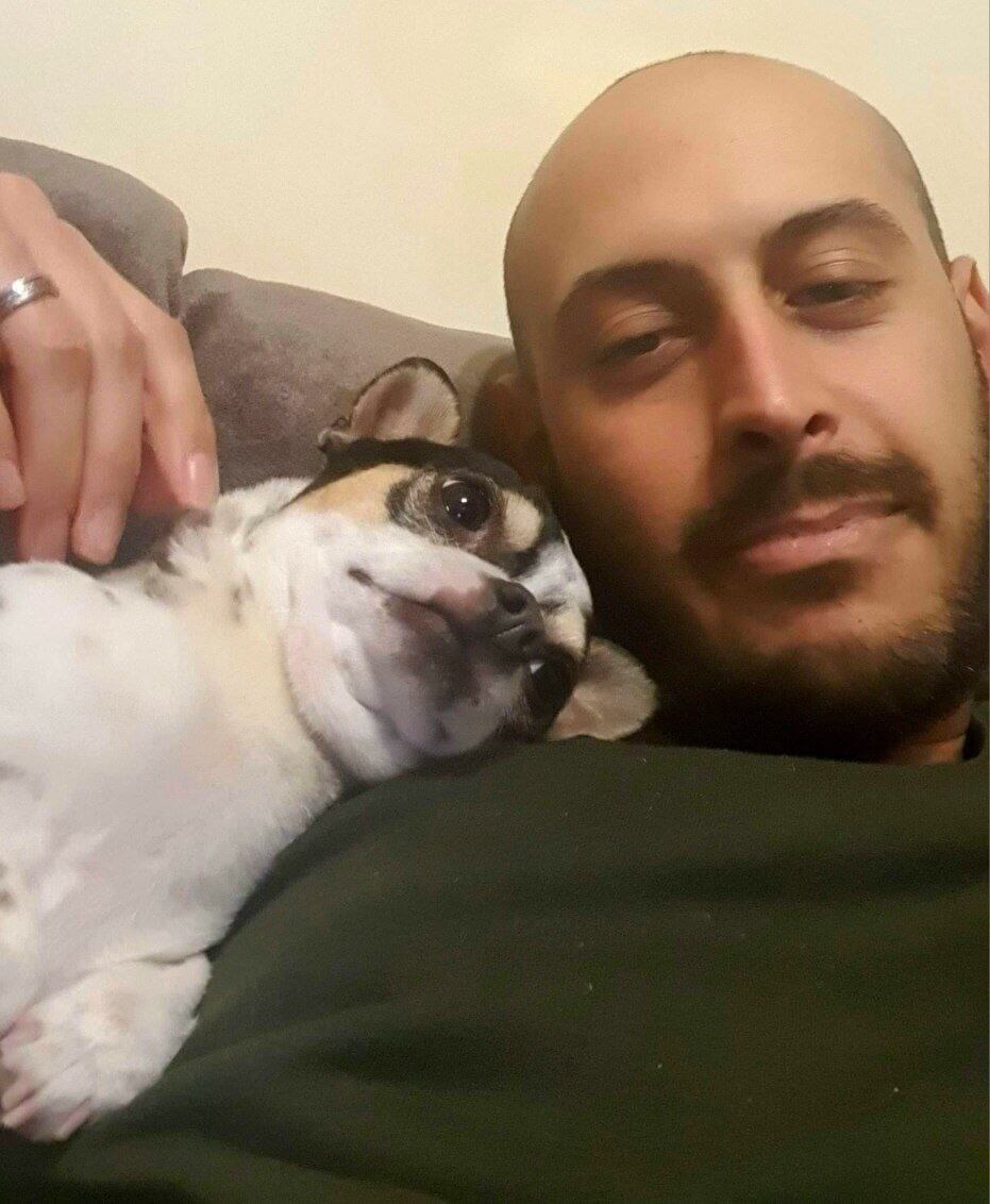 foto del cane Zeus 40