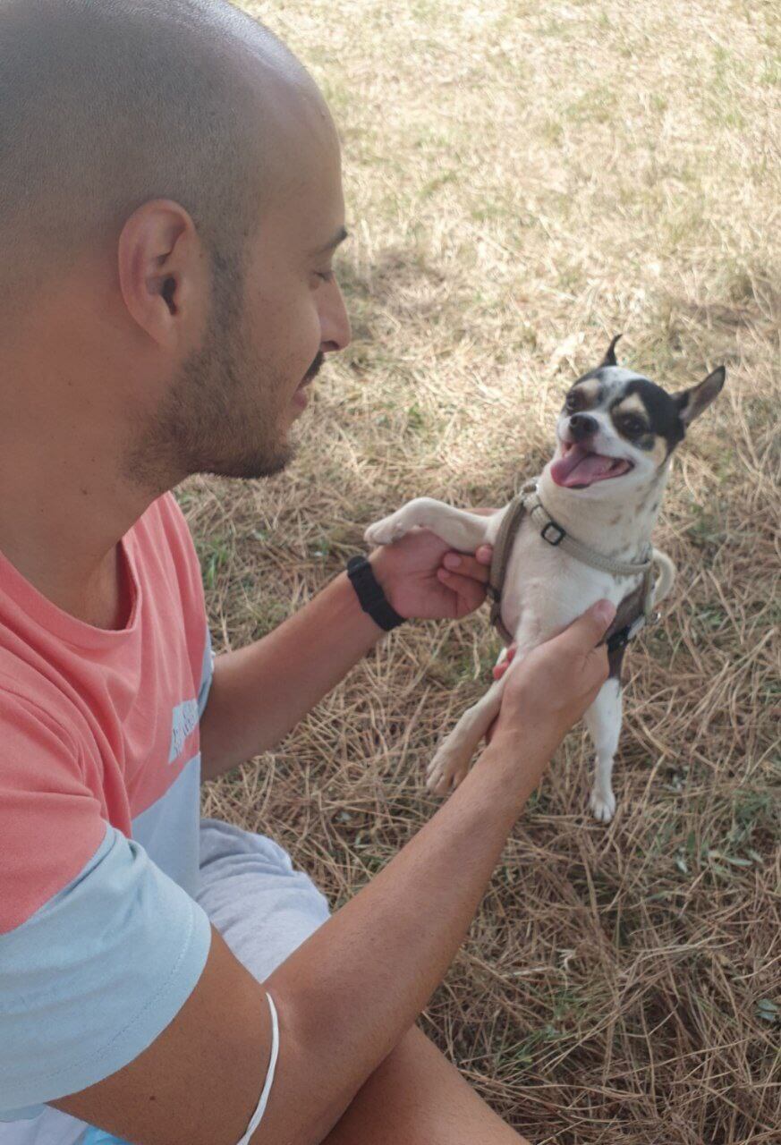 foto del cane Zeus 9