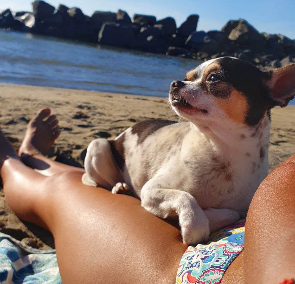 foto di zeus da piccolo 17