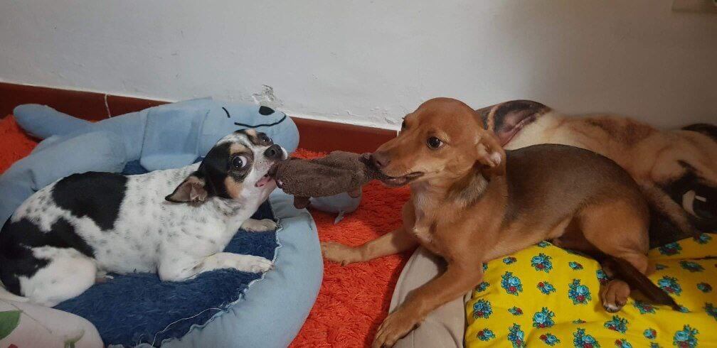 photo 5886583628329239272 y