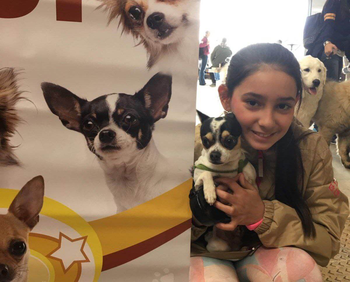 photo 5886583628329239276 y