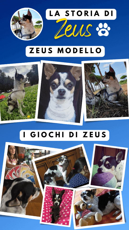 story instagram zeus ricordi (5)