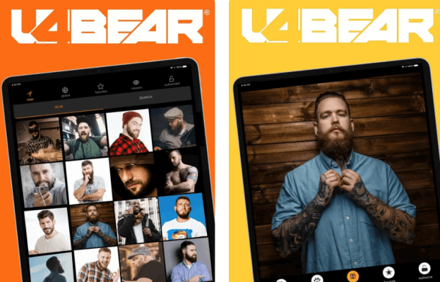 u4bear incontri gay orsi bear