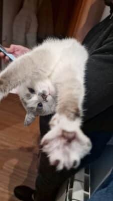 lettera ad hermes (15)