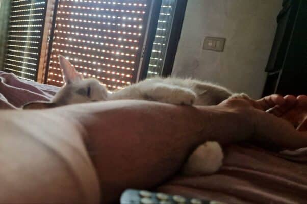 lettera ad hermes (21)