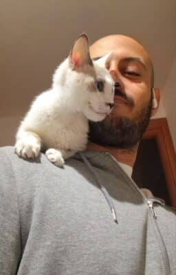 lettera ad hermes (27)