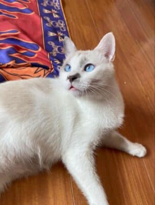 lettera ad hermes (30)