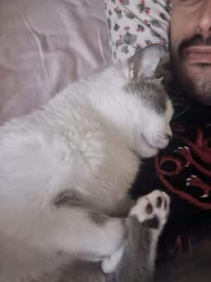 lettera ad hermes (32)