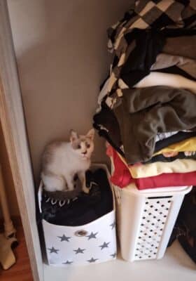 lettera ad hermes (35)