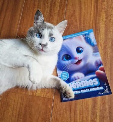 photo 2025 11 30 18 49 08